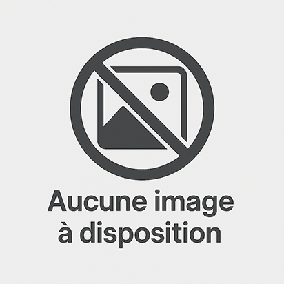 Aucune image à disposition picto