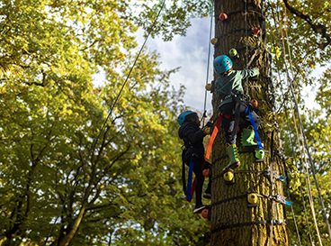 Fête de l'arbre 2023