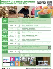 Programme MDE