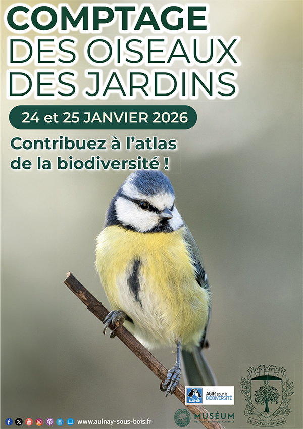 operation comptage des oiseaux 2026