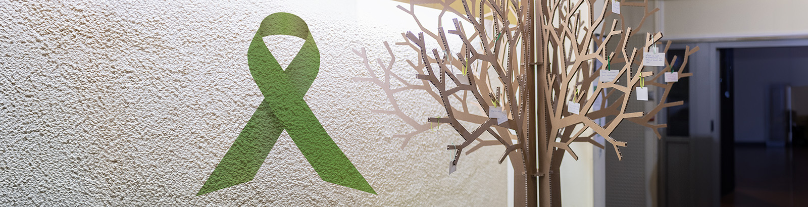 L’hôpital ambassadeur du don d’organes