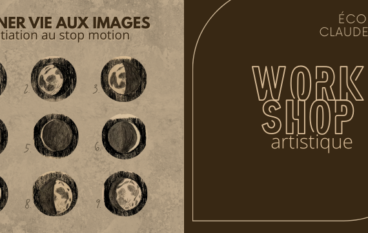 workshop stop motion adulte