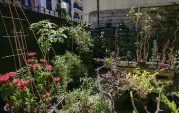 Concours des jardins et balcons fleuris 2025